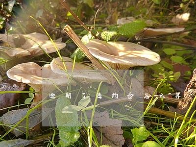 逾期了违约金怎么算 逾期了违约金怎么算