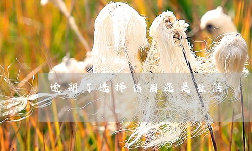 逾期了选择信用还是生活 逾期了选择信用还是生活