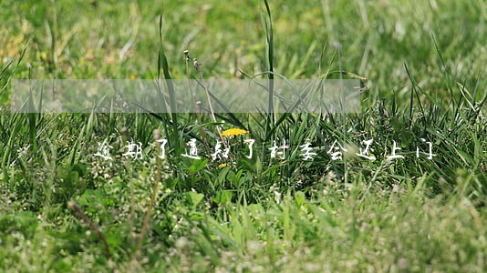 逾期了通知了村委会还上门 逾期了通知了村委会还上门