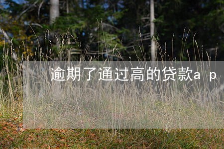 逾期了通过高的贷款app 逾期了通过高的贷款app