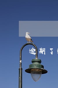 逾期了那里能借钱