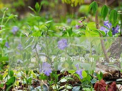 逾期了都不接电话会有什么后果 逾期了都不接电话会有什么后果