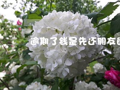逾期了钱是先还朋友的还是网贷 逾期了钱是先还朋友的还是网贷