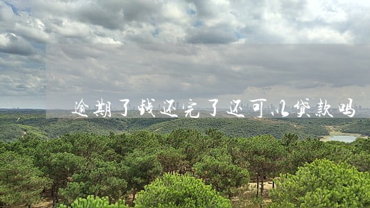 逾期了钱还完了还可以贷款吗 逾期了钱还完了还可以贷款吗