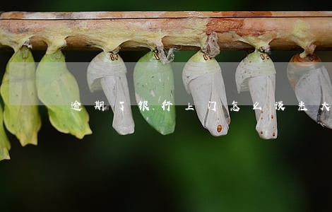 逾期了银行上门怎么谈光大 逾期了银行上门怎么谈光大