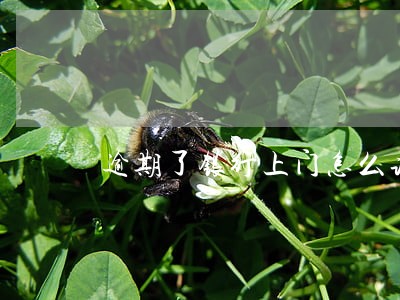 逾期了银行上门怎么谈广发 逾期了银行上门怎么谈广发