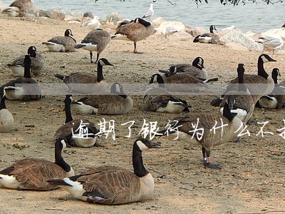 逾期了银行为什么不打电话 逾期了银行为什么不打电话