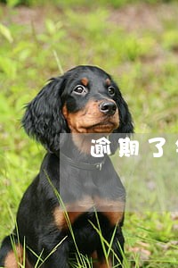 逾期了银行会走什么流程 逾期了银行会走什么流程