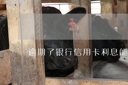 逾期了银行信用卡利息能减免吗 逾期了银行信用卡利息能减免吗