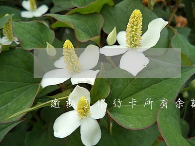 逾期了银行卡所有余额会划走吗 逾期了银行卡所有余额会划走吗