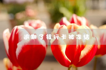 逾期了银行卡被冻结