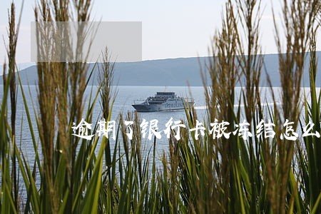 逾期了银行卡被冻结怎么办 逾期了银行卡被冻结怎么办