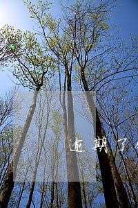 逾期了银行可以给同事打电话吗 逾期了银行可以给同事打电话吗