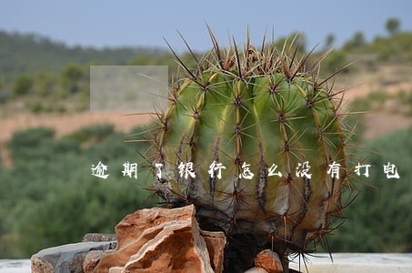 逾期了银行怎么没有打电话 逾期了银行怎么没有打电话