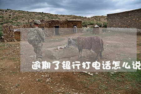逾期了银行打电话怎么说