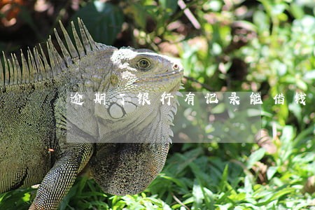 逾期了银行有记录能借钱么 逾期了银行有记录能借钱么