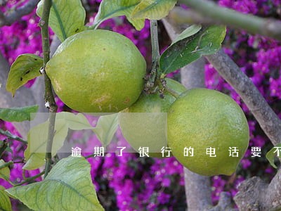 逾期了银行的电话要不要接 逾期了银行的电话要不要接