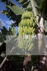 逾期了银行能给父母打电话吗 逾期了银行能给父母打电话吗