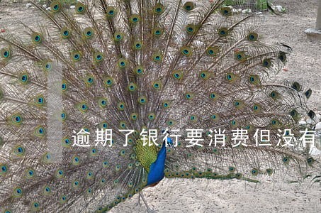 逾期了银行要消费但没有咋办