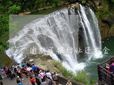 逾期了银行让还本金 逾期了银行让还本金
