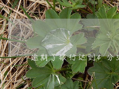 逾期了银行达到4分5的利息 逾期了银行达到4分5的利息