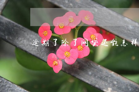 逾期了除了网贷还能怎样弄到钱 逾期了除了网贷还能怎样弄到钱