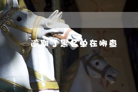 逾期了黑名单在哪查 逾期了黑名单在哪查