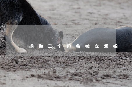 逾期二个月会被立案吗 逾期二个月会被立案吗