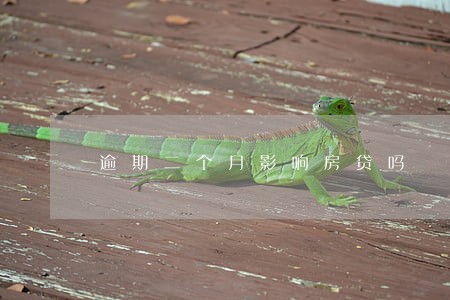 逾期二个月影响房贷吗 逾期二个月影响房贷吗