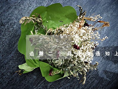逾期二个月没有通知上班 逾期二个月没有通知上班