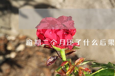 逾期二个月还了什么后果 逾期二个月还了什么后果