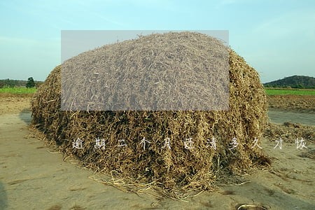 逾期二个月还清多久才恢复正常 逾期二个月还清多久才恢复正常