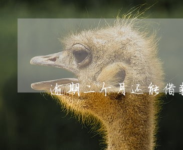 逾期二个月还能借款吗 逾期二个月还能借款吗
