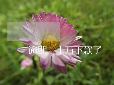 逾期二十万下款了 逾期二十万下款了