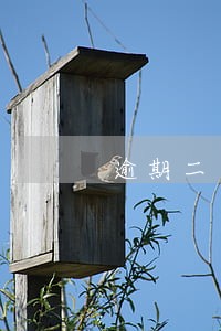 逾期二十几次能贷款买房 逾期二十几次能贷款买房