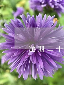 逾期二十多万按揭房 逾期二十多万按揭房