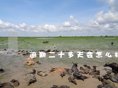 逾期二十多天会怎么样 逾期二十多天会怎么样