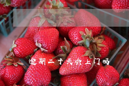 逾期二十天会上门吗 逾期二十天会上门吗
