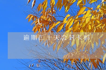 逾期二十天会封卡吗 逾期二十天会封卡吗