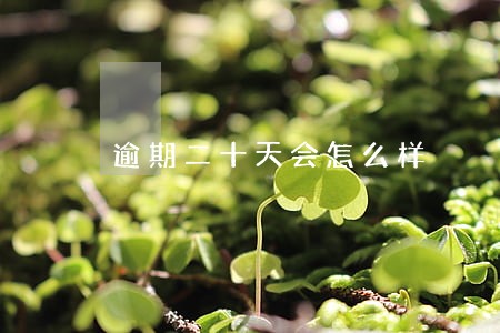 逾期二十天会怎么样