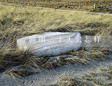 逾期二十天会怎样