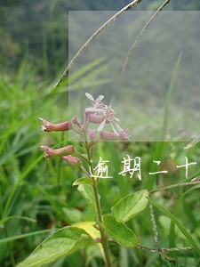 逾期二十天会找到公司吗 逾期二十天会找到公司吗