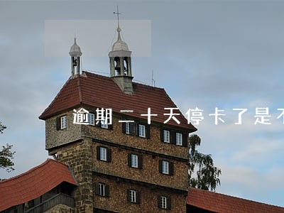 逾期二十天停卡了是不是成黑户了 逾期二十天停卡了是不是成黑户了