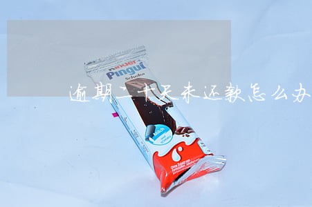 逾期二十天未还款怎么办 逾期二十天未还款怎么办