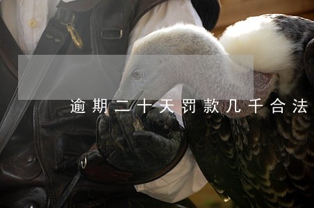 逾期二十天罚款几千合法吗 逾期二十天罚款几千合法吗