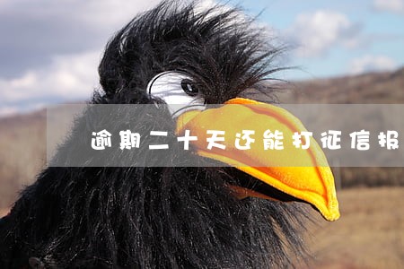 逾期二十天还能打征信报告吗 逾期二十天还能打征信报告吗