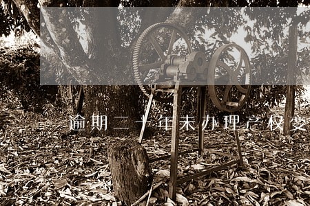 逾期二十年未办理产权变更 逾期二十年未办理产权变更