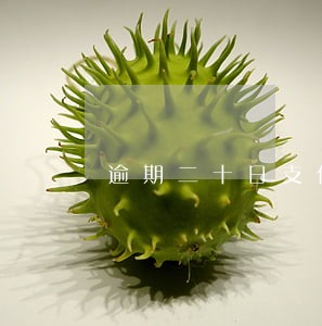 逾期二十日支付首付款 逾期二十日支付首付款