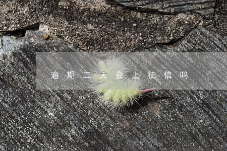 逾期二天会上征信吗 逾期二天会上征信吗