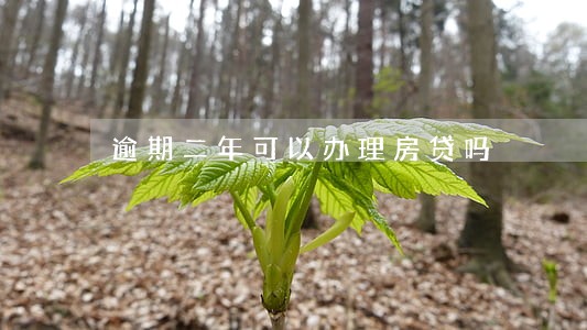 逾期二年可以办理房贷吗 逾期二年可以办理房贷吗